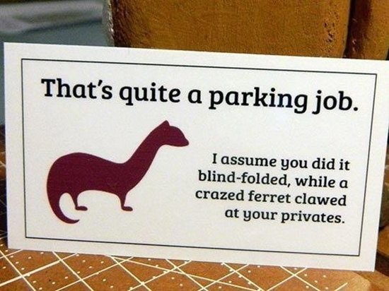 bad-parking-ferret
