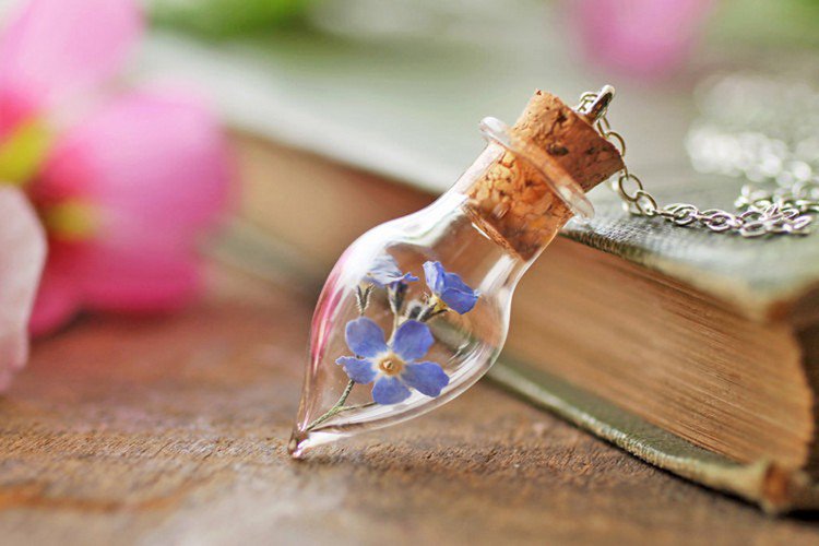 blue flower terrarium