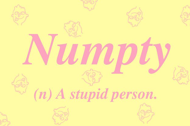 british-words-numpty