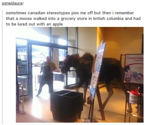 canada-apple