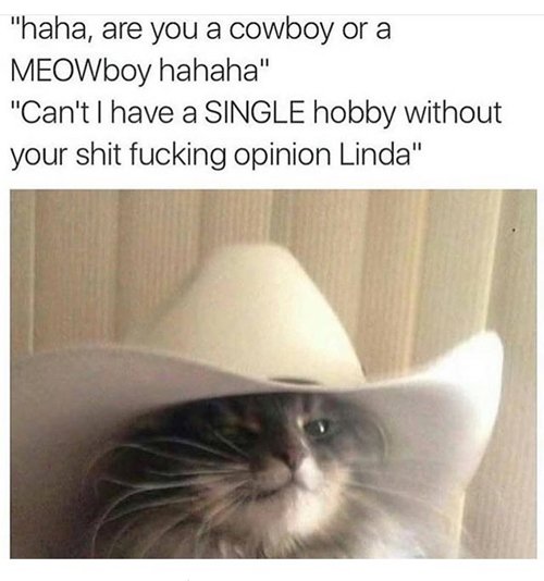 cat-pictures-cowboy