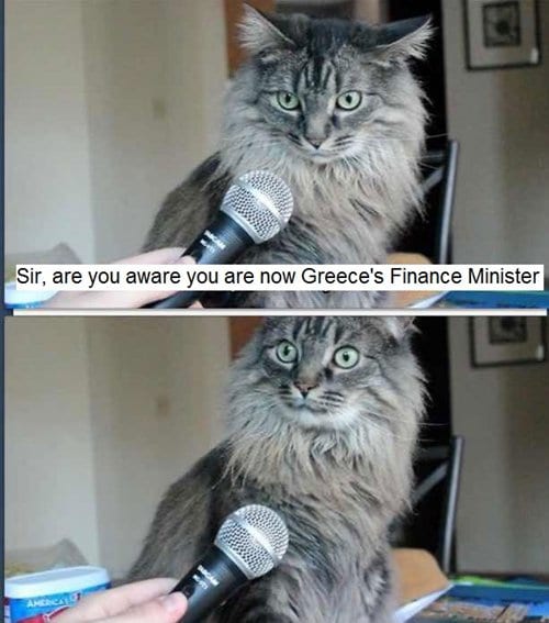 cat-pictures-finance