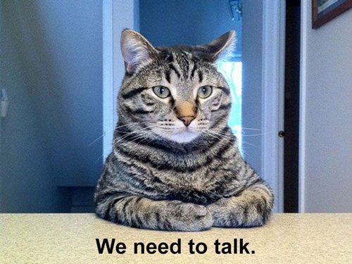 cat-pictures-talk