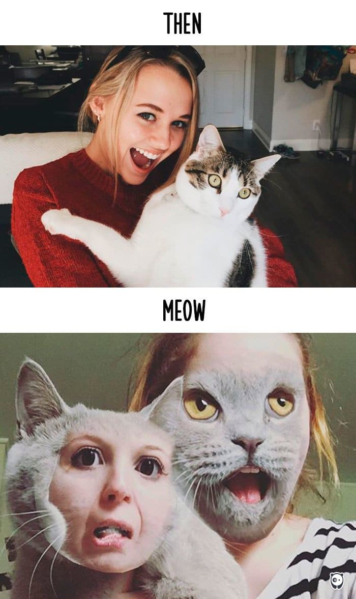 cats-then-now-photo