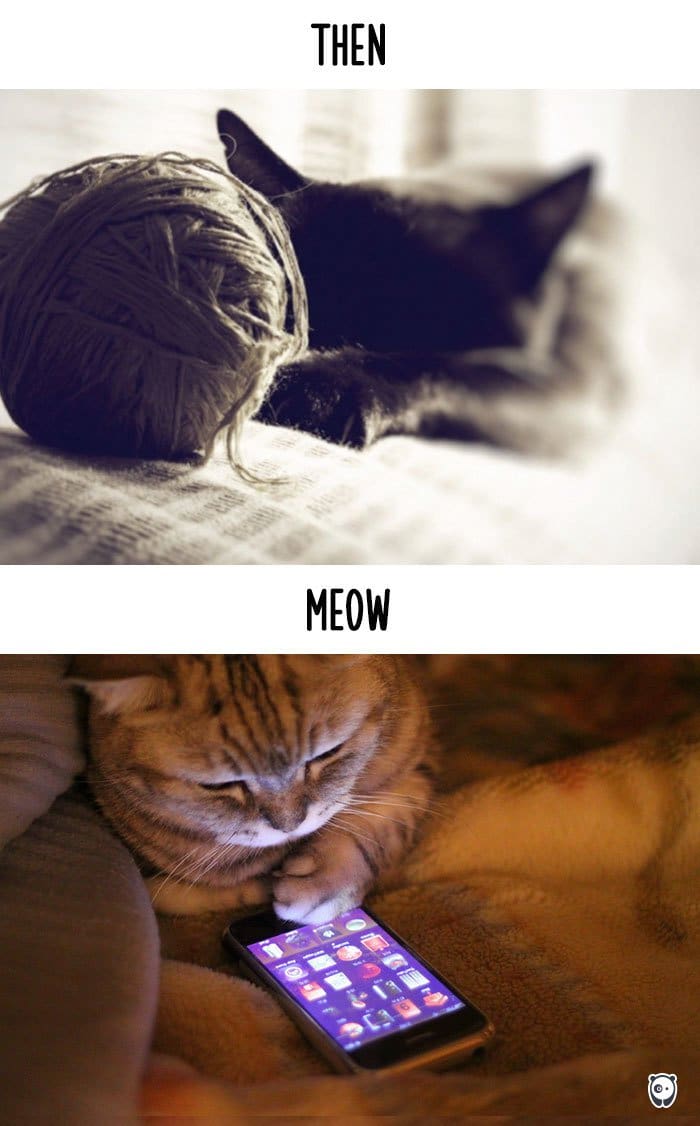 cats-then-now-playing
