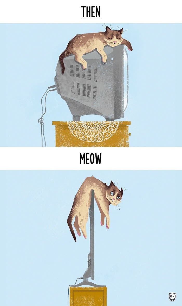 cats-then-now-tv