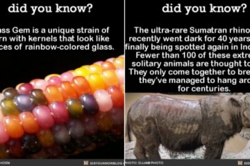 facts about nature