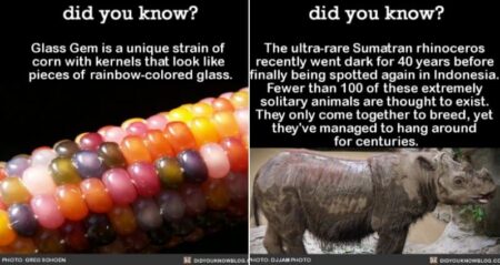 facts about nature