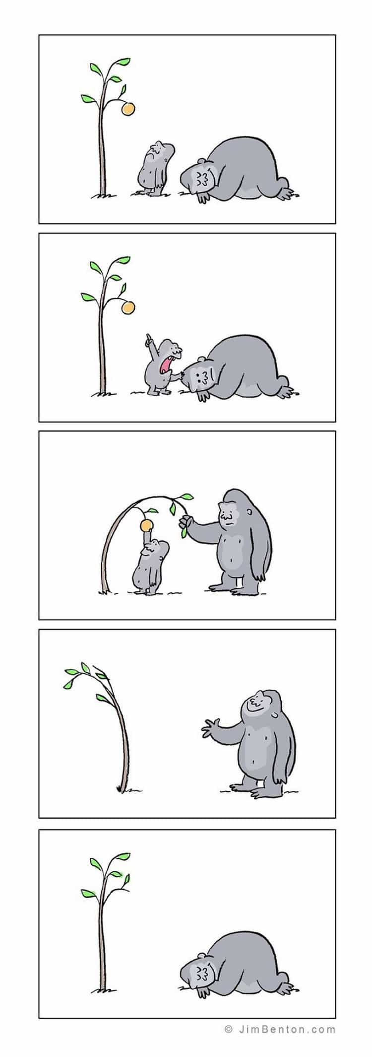 funny gorillas