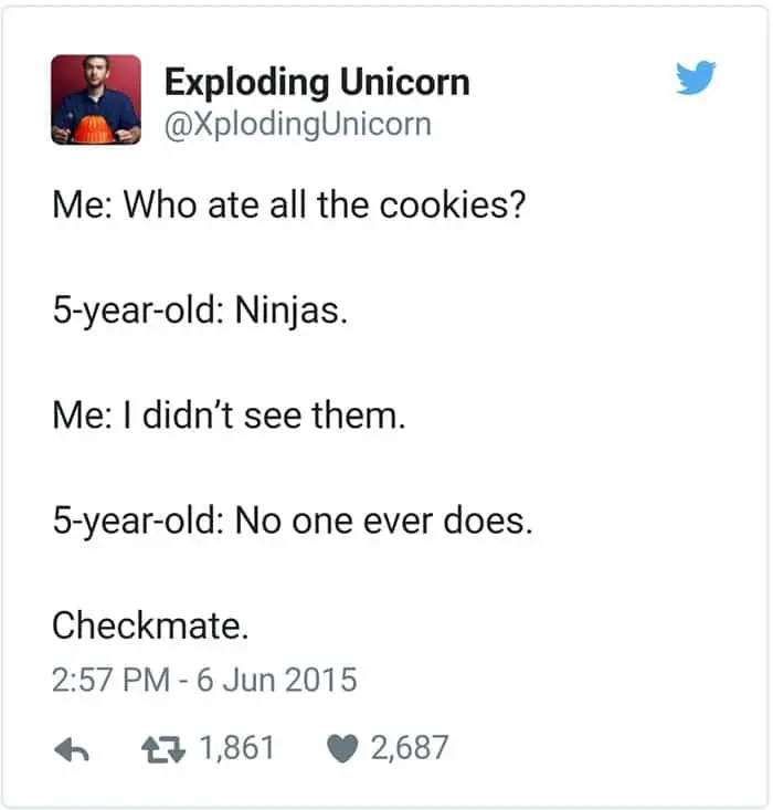 funny-kid-tweets-ninjas