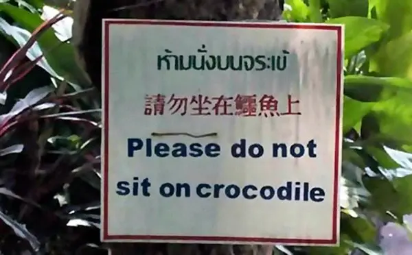 funny-signs-crocodile