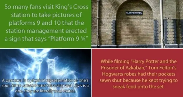 harry potter facts part one