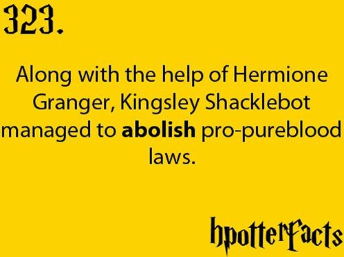 harry-potter-facts-pureblood