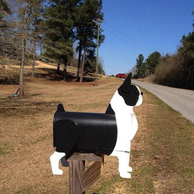 mail-dog