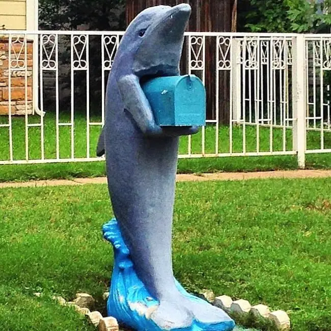 mail-dolphin