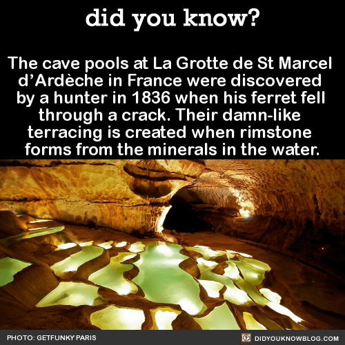 cave pools at la grotte de st marcel d'ardeche in france