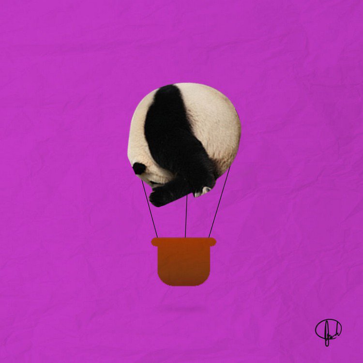 panda balloon