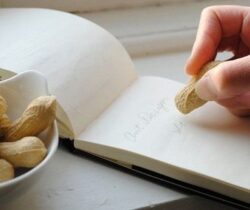 peanut erasers