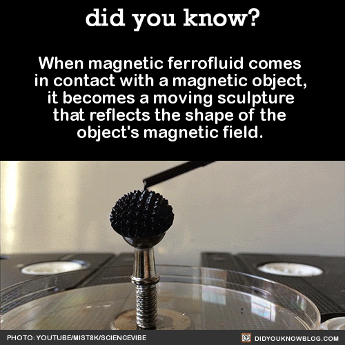 science-facts-ferrofluid