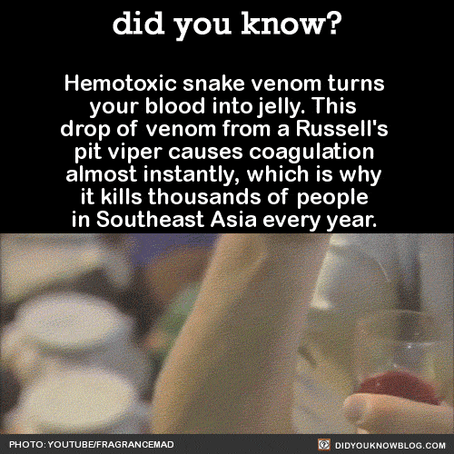 science-facts-hemotoxin