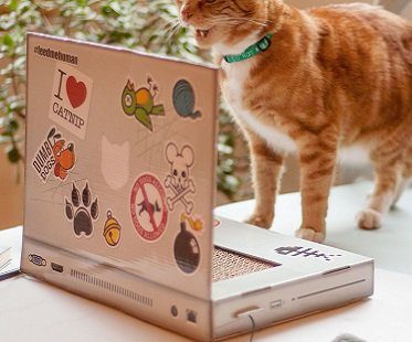 Cat Laptop Scratch Pad
