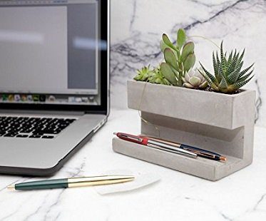 Desktop Planter And Pen Holder