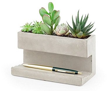 Desktop Planter And Pen Holder concrete