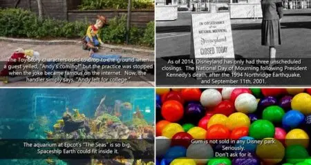 Fun Things About Disneyland