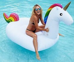 Giant Inflatable Unicorn