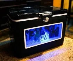 LED party cooler
