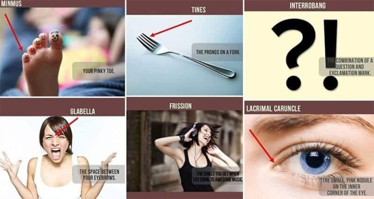 12 Random Things You Didn t Know The Actual Names For