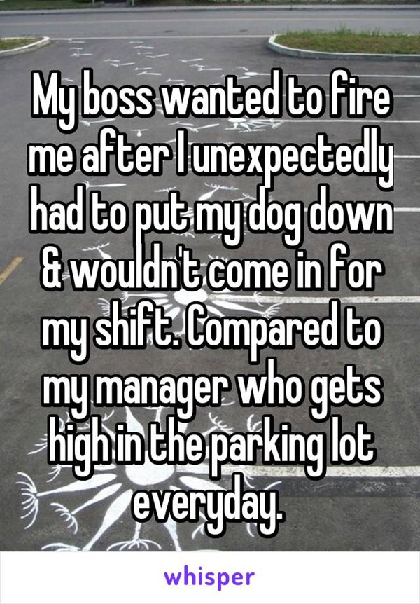 boss-horror-stories-dog