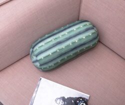 cactus pillow