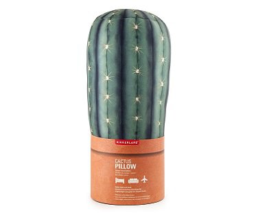 cactus pillow green microbead