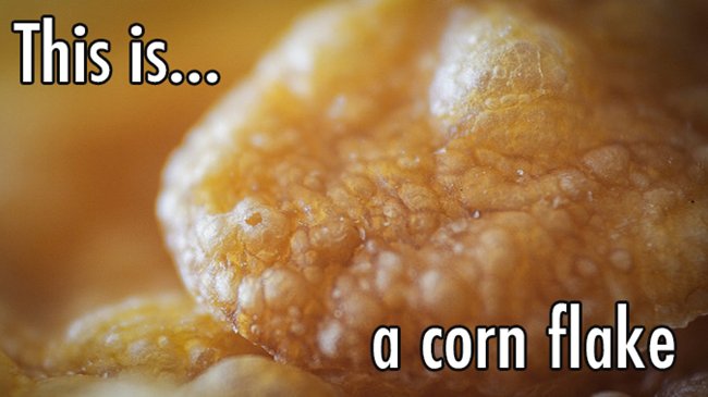 close-up-corn-flakes