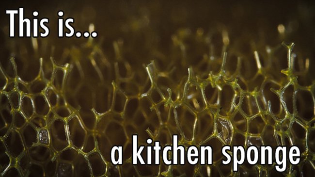 close-up-kitchen-sponge