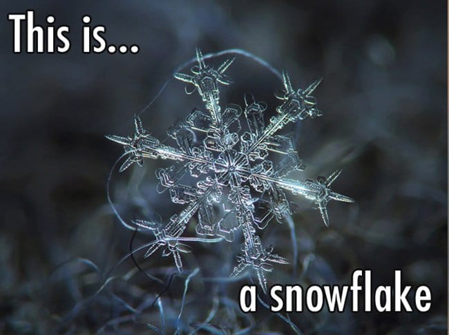 close-up-of-snowflake