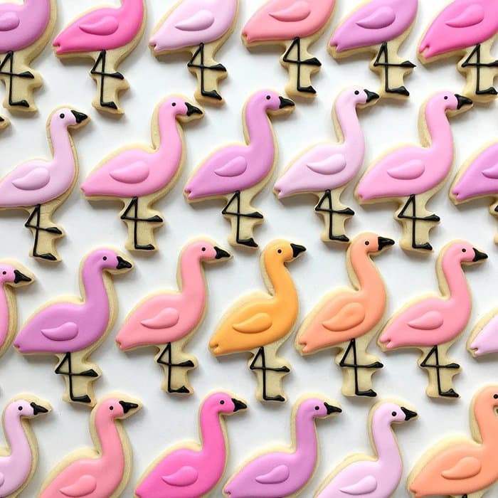 cookies-holly-fox-flamingos