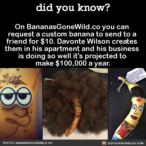 funny-facts-bananas