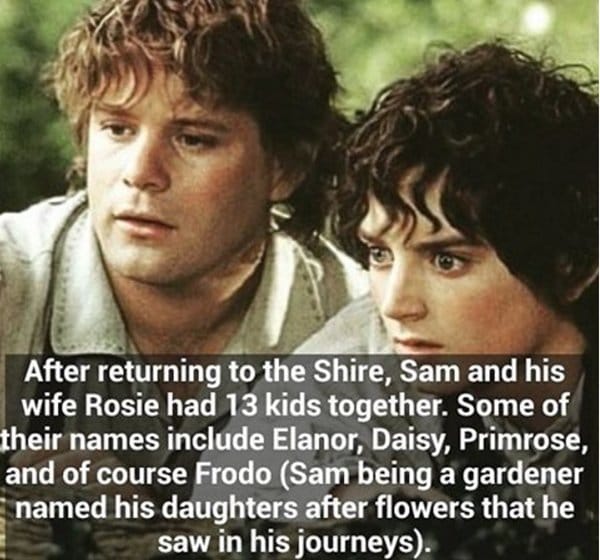 lotr-facts-sam