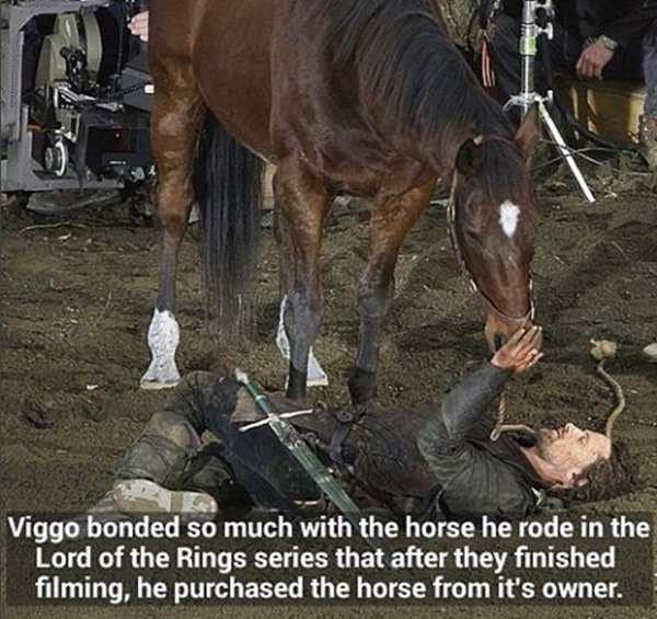 lotr-facts-viggo