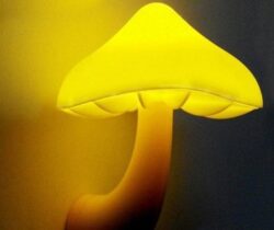 mushroom night light