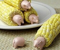 pig corn holders