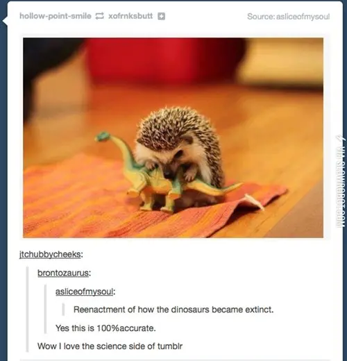 science-side-of-tumblr-dinos