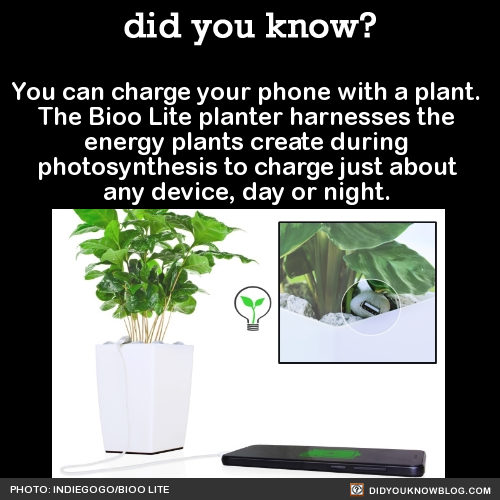 technology-facts-charge