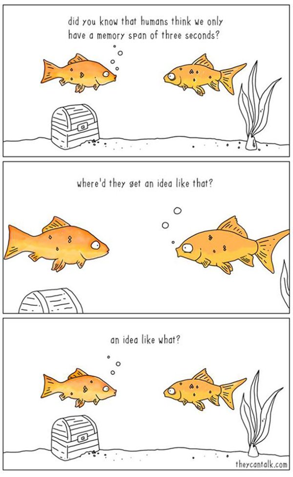 they-can-talk-jimmy-craig-goldfish