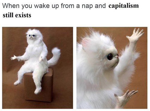 tumblr-communism-nap
