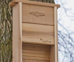 Bat Shelter