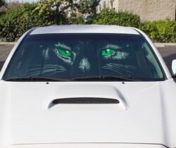 Cat Eyes Sunshade