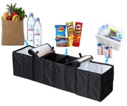 Compartment Trunk Organizer